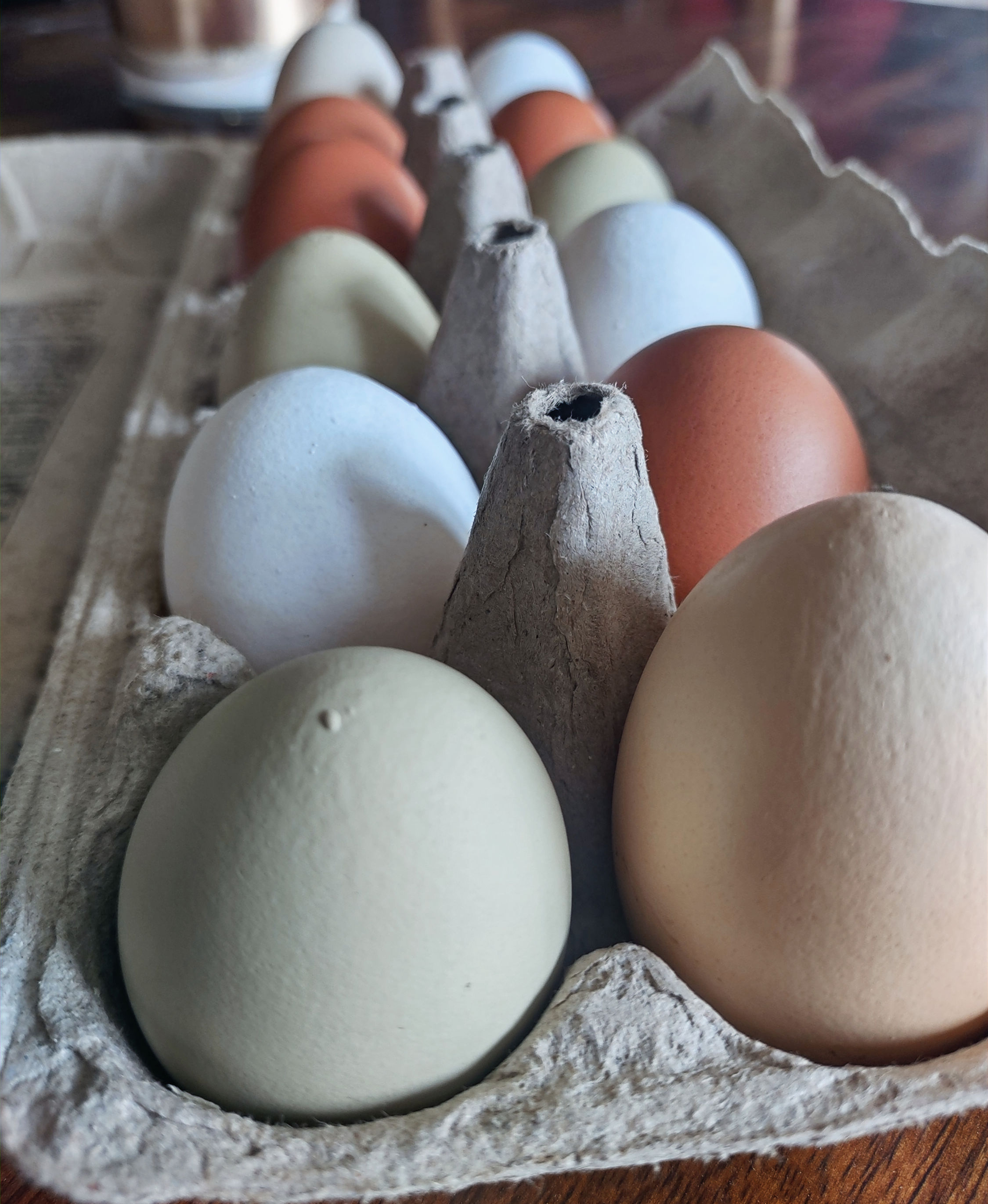 POUR L'ASSIETTE ! Oeufs frais de poules en libertés et heureuses.