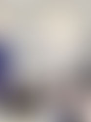 Innovación y Desarrollo de Salto contribuye al diseño de la agenda regional de desarrollo económico junto a ANDE y OPP en Fray Bentos