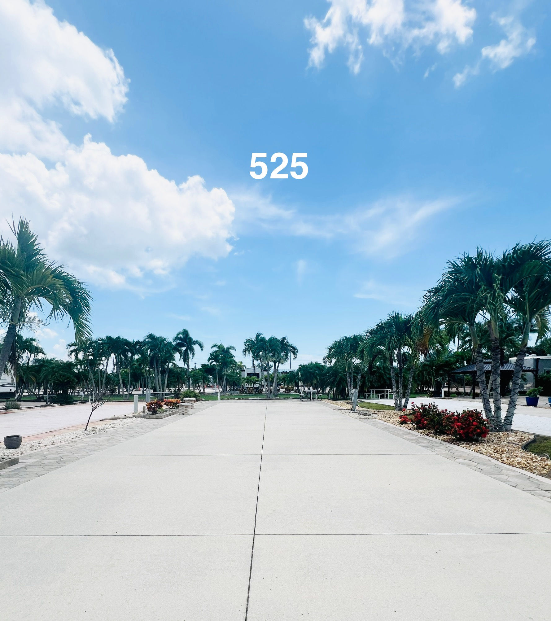 525 Shipwreck
