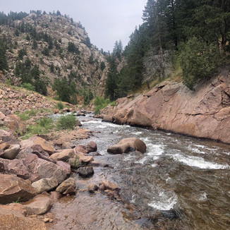 Roosevelt National Forest Colorado river