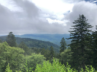 Great Smoky Mountains