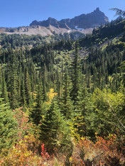 Washington mount rainier national park trees autumn 
