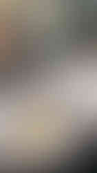 Kells Irish pub seattle washington happy hour oysters