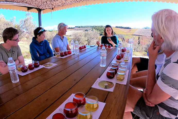 Tourist doing an olive-oil tasting, olive-oil tasting with guide, people overlooking the valley while discovering olive oil, taste the flavours of Greek olive oil