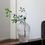 Миниатюра: Стеклянные вазы OLEA GLASS VASE