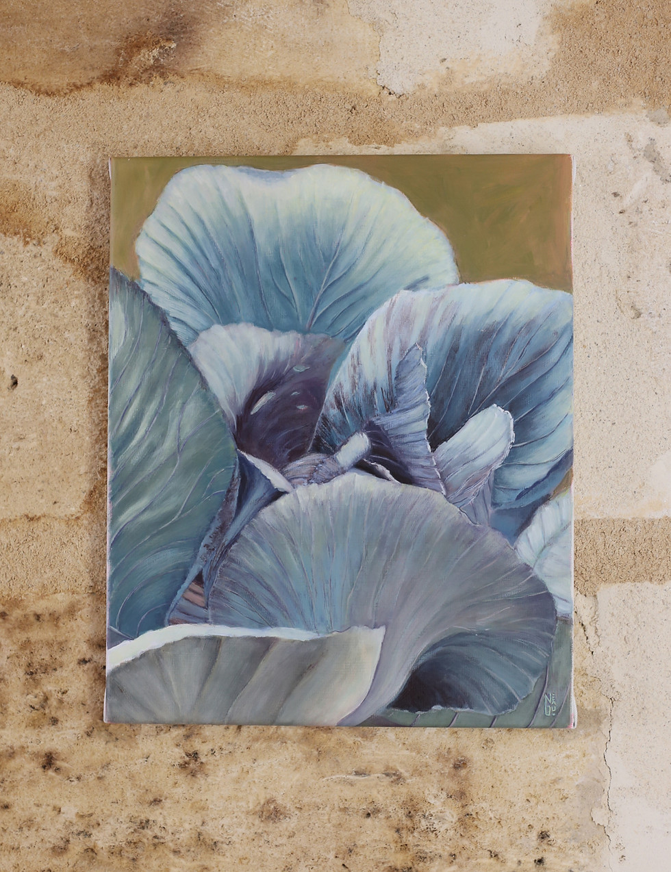 Miniature : Rose de terre