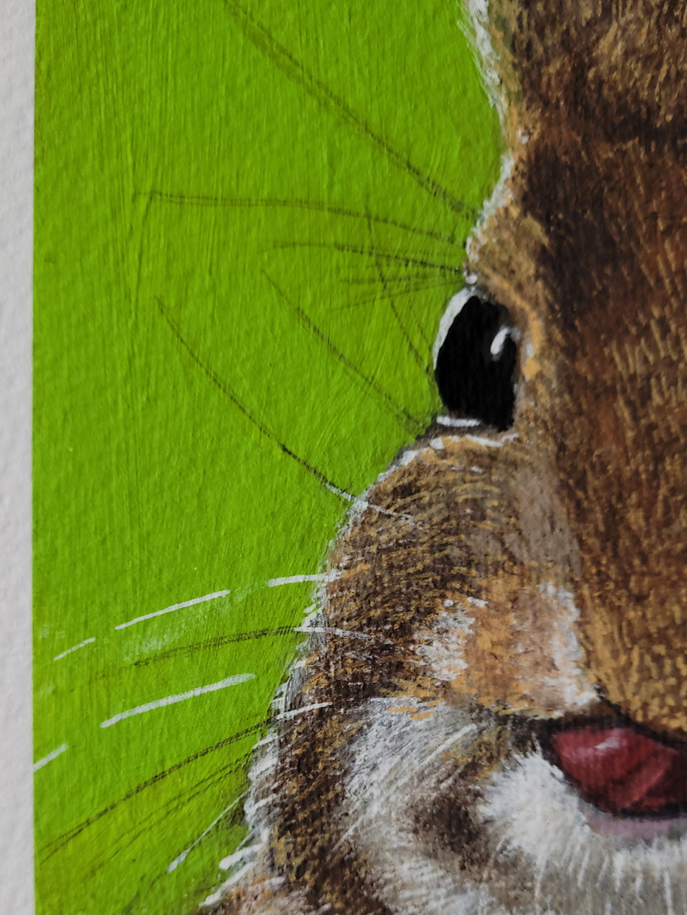 Miniature : Bunny