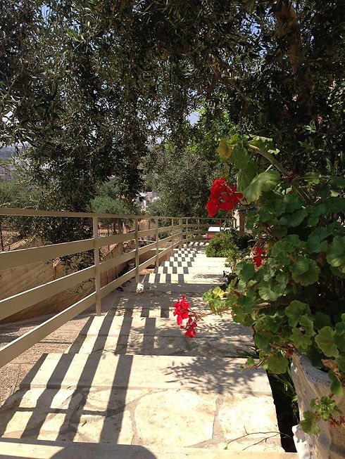 giardino d'accesso al b&b.jpg