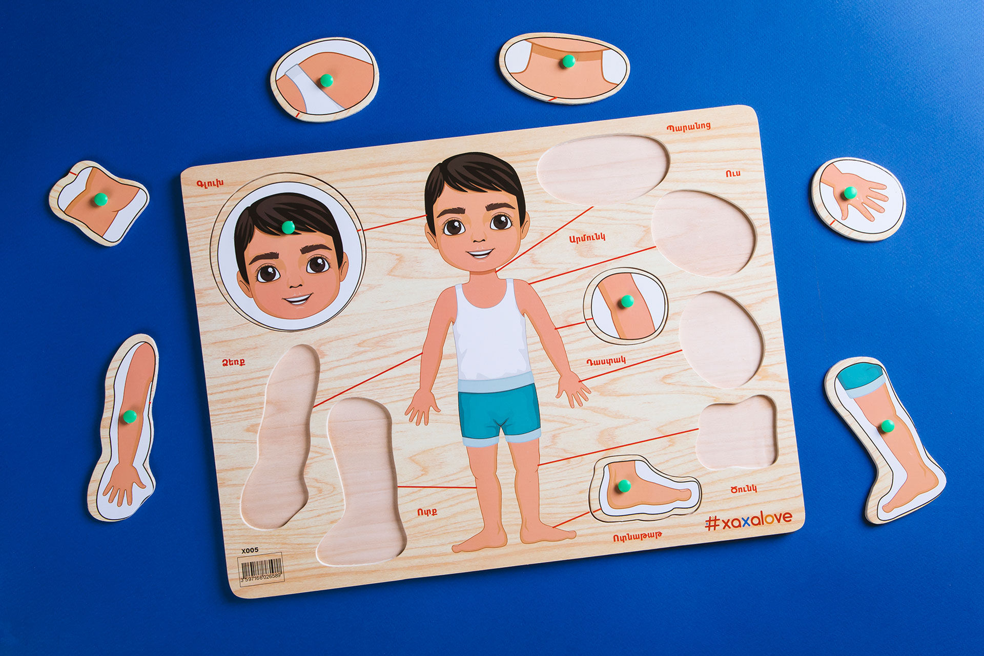 Փայտե ֆորմա մարմնի մասեր