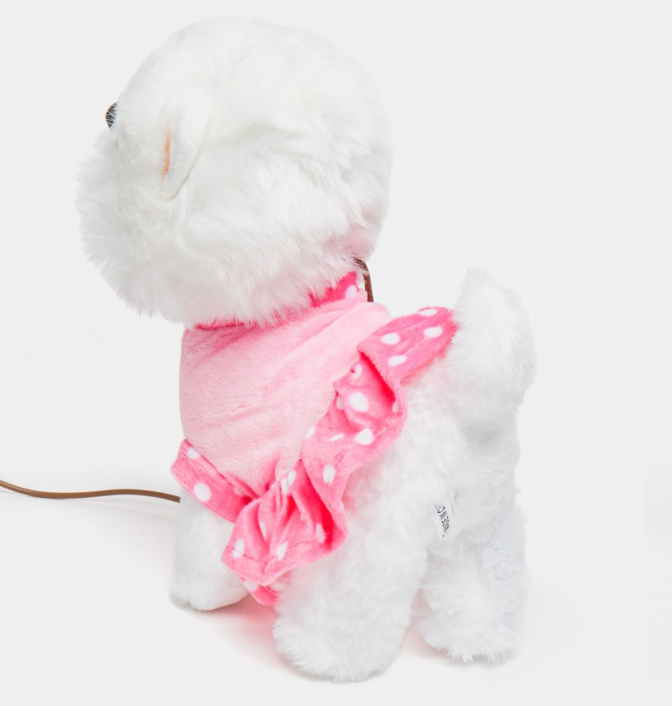 Thumbnail: Վզկապով քայլող շնիկ վարդագույն հագուստով