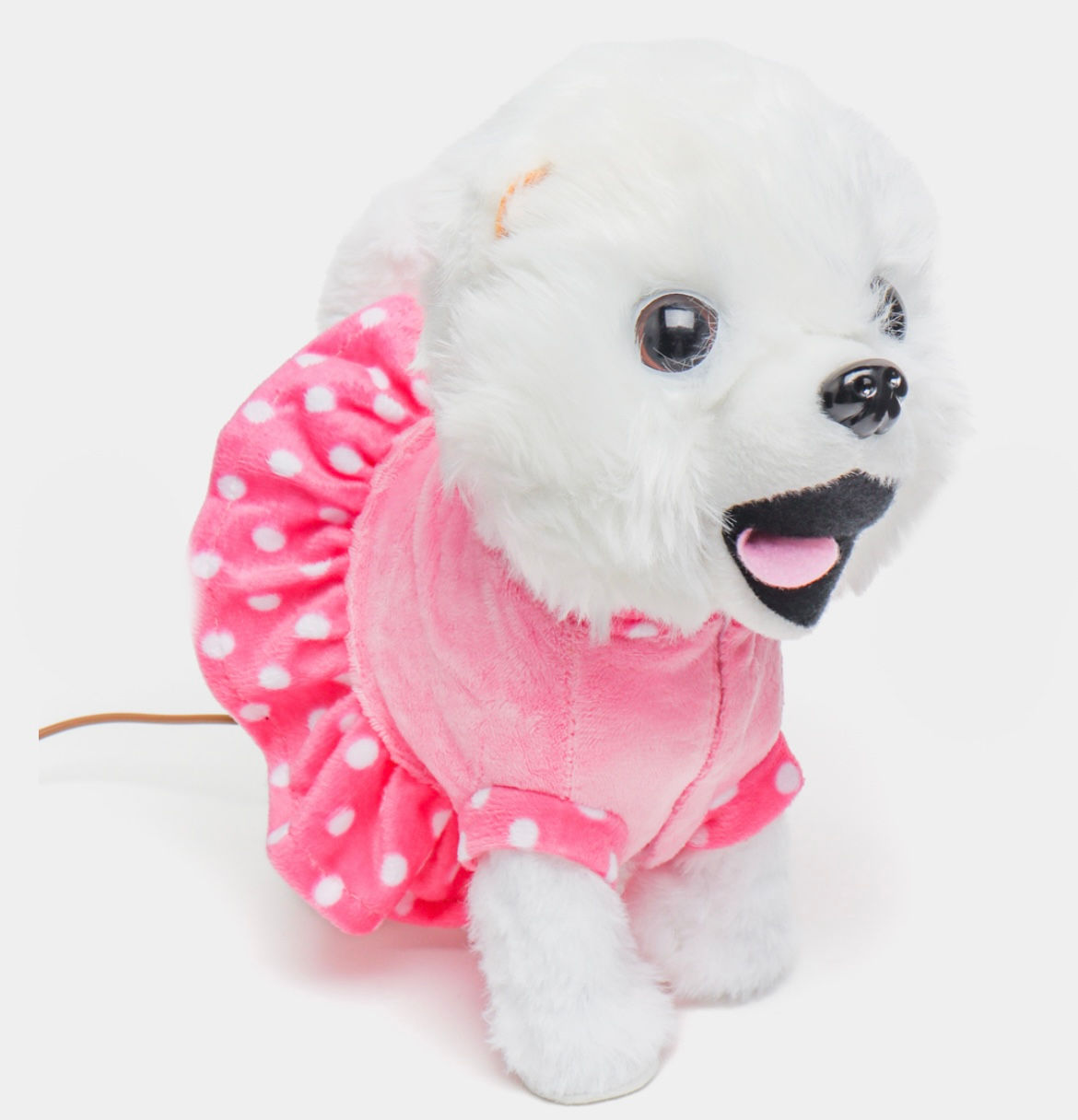 Վզկապով քայլող շնիկ վարդագույն հագուստով