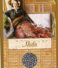 MİDA KARTI - KATİNA