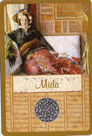 MİDA KARTI - KATİNA