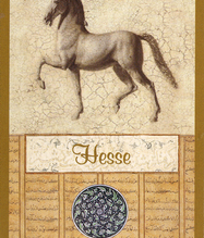 HESSE KARTI - KATİNA