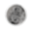 Thumbnail: coin