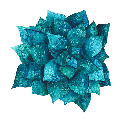 Jelena Novakovic Art