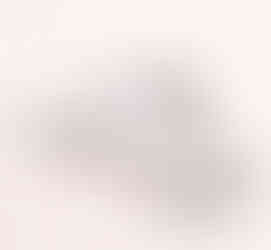 Website in Wix met Wix Bookings voor the Nail Room Maastricht