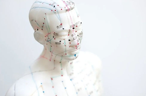 mesoloog mesologie Hilversum Dalinde Theunissen Utrecht Amersfoort Bussum Huizen Almere natuurgeneeskunde EFD EAV TCM ayurveda homeopathie fythotherapie orthomoleculair therapeut voedingsgeneeskunde gezonde voeding gezondheid chronische klachten kruiden kruidengeneeskunde eczeem histamine hooikoorts darmen obstipatie diarree huidklachten ontstekingen PDS hormonale klachten Oosterse Geneeskunde