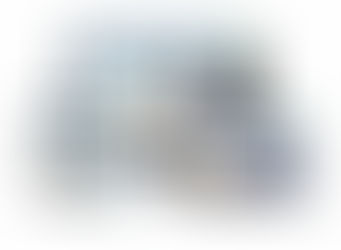 Website project applyDISC.com, maatwerk binnen Wix