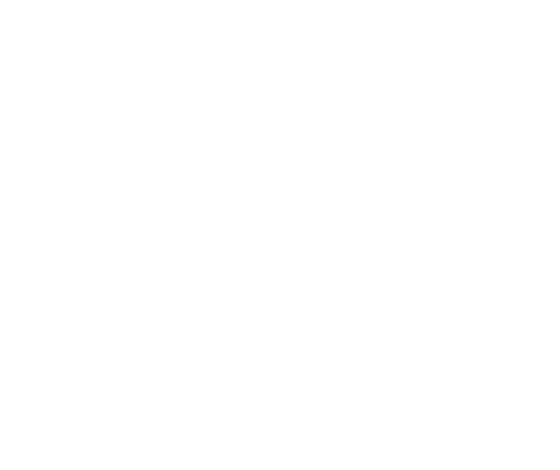 VR-beeldmerk_wit.png