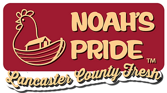 NEW NP ENLARGED PRINT LOGO W TAGLINE - outlined.png