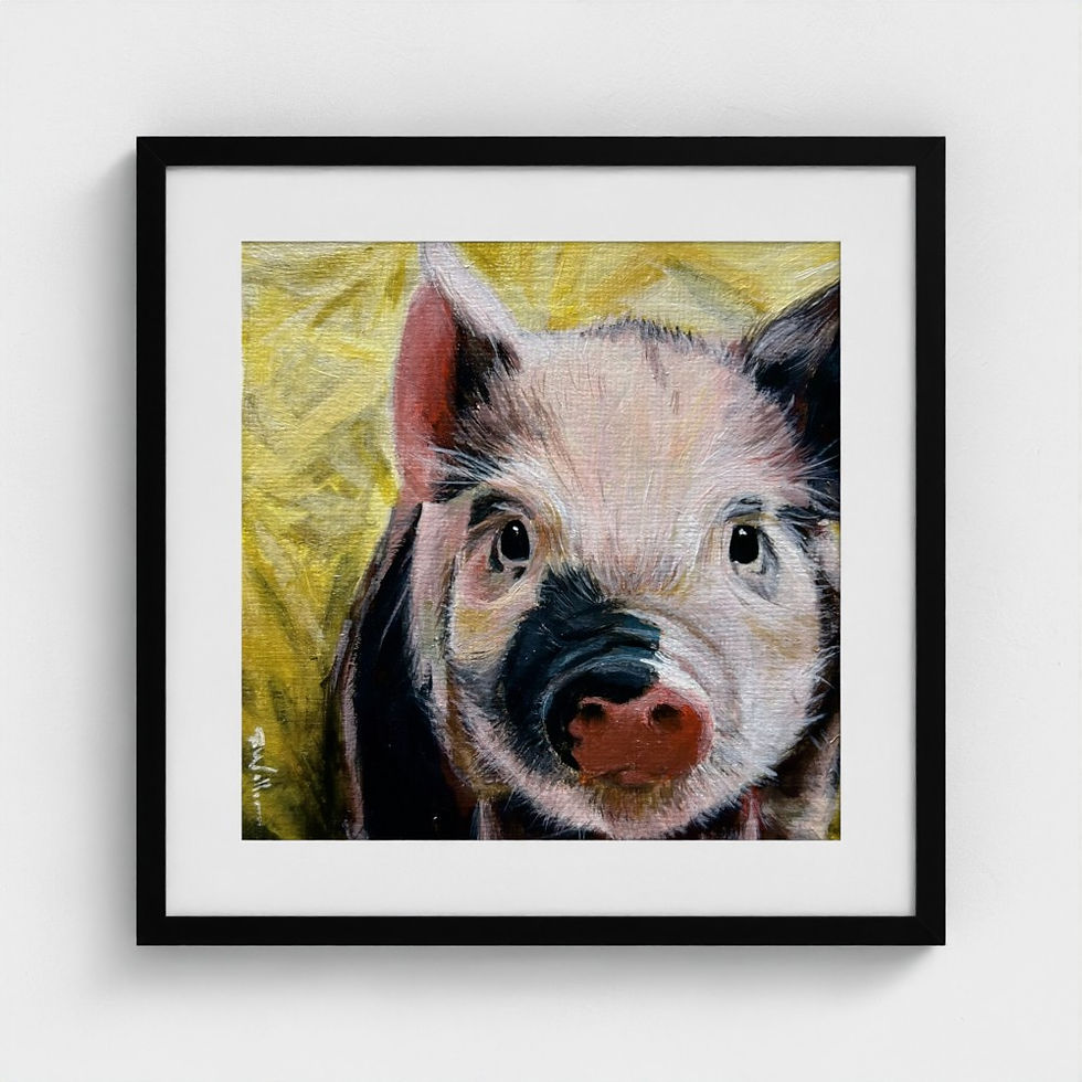 Young Pig Portrait (Framed 8"x8" Print)