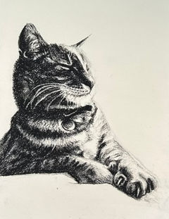 small charcoal drawing of a tabby cat snoozing looking from side angle
