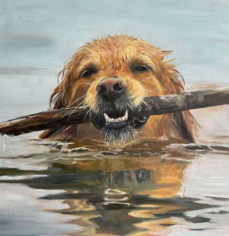 painting of a golden retriever with a stick swimming in water painted by Sussex artist Gill Waller