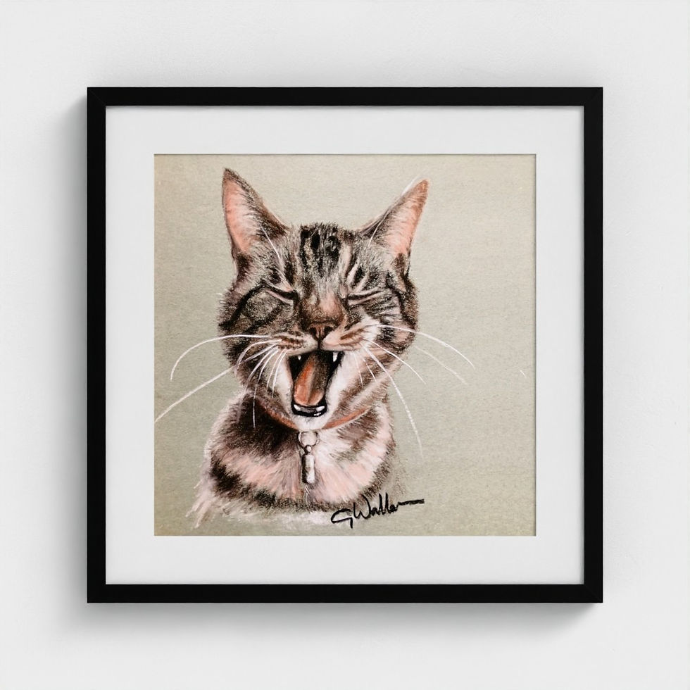 Tabby Cat Yawning (Framed 8"x8" Print)