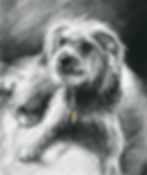 Coconut digital drawing_LR