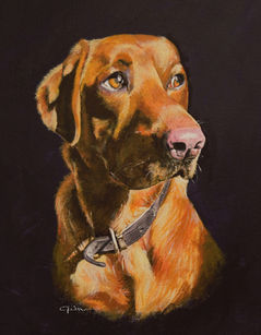 a painted portrait of a fox red labrador against a dramatic black background