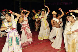 Performance Parijat ankiya nat