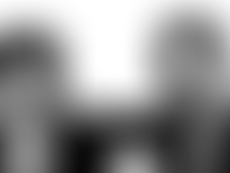 O RETROCESSO DA ‘‘PEC DA BLINDAGEM’’ E OS RISCOS À LEI FICHA LIMPA