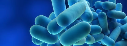 Curso de Mantenimiento de las instalaciones de riesgo frente a la Legionella para  Cepsa