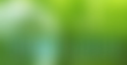Định nghĩa tiêu chuẩn của ISO 14001 là gì?