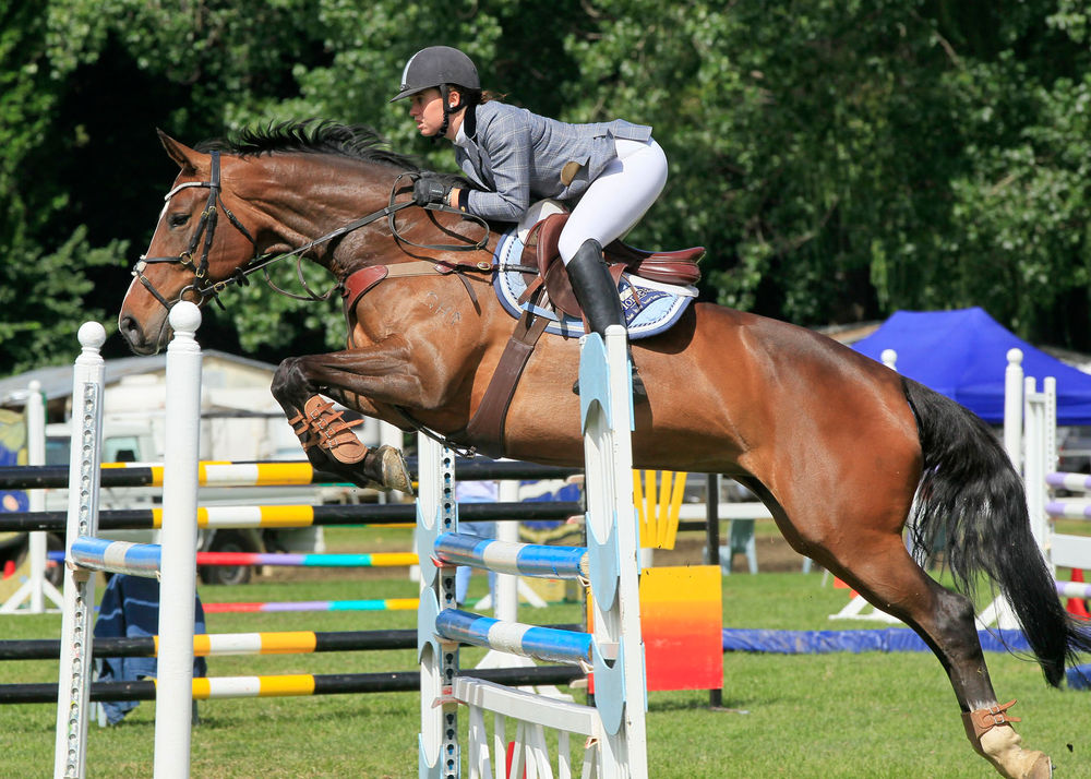 Showjumping An Equestrian Discipline Part 1