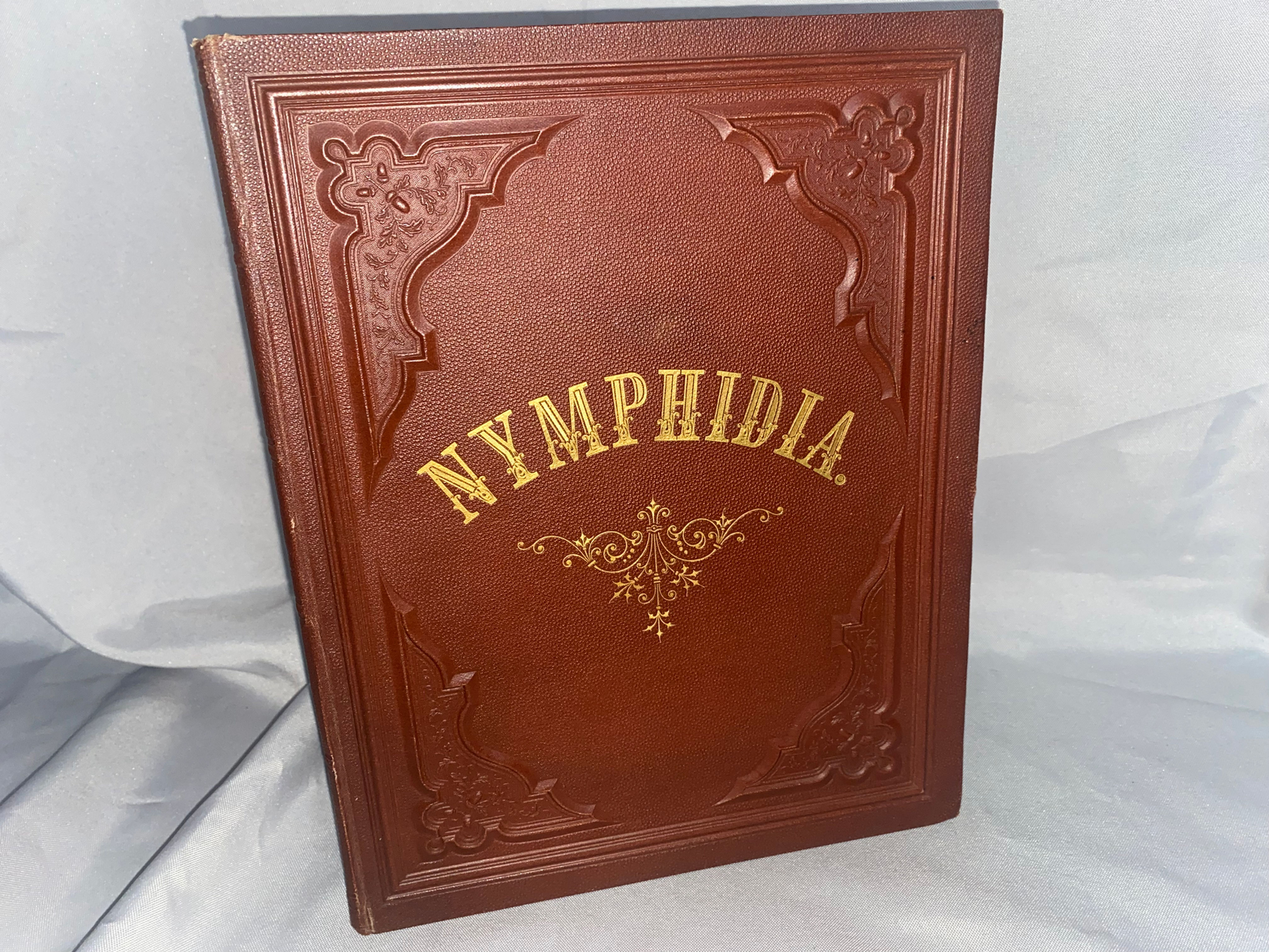 Wickenburg-Almasy: Nymphidia 1873