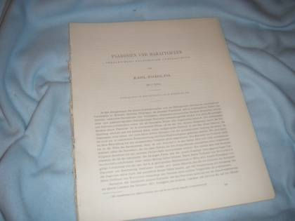 Miniaturbild: Rudolph: Psaronien & Marattiaceen. Vergleichend anatomische Untersuchungen 1905