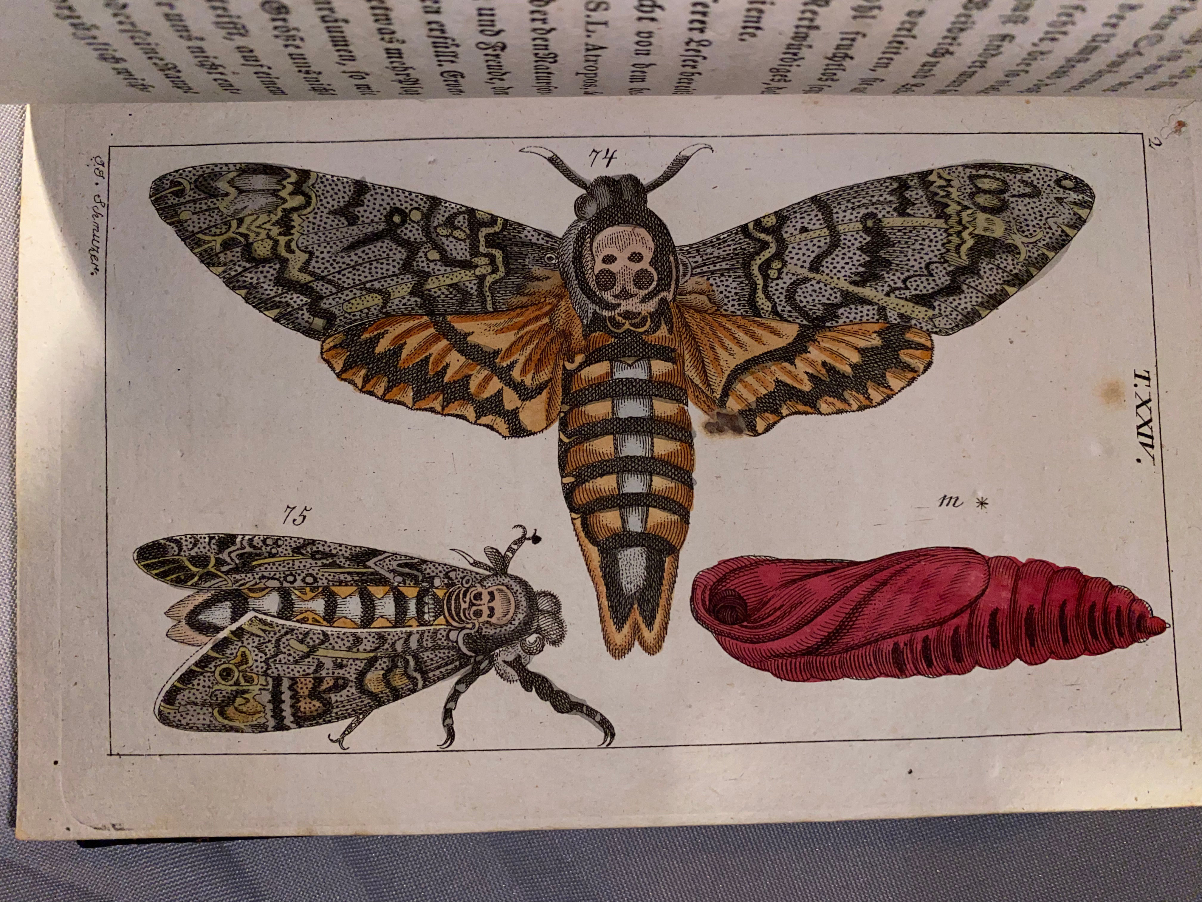 Wilhelm: Unterhaltungen aus der Naturgeschichte Insecten 3 Bände 1810