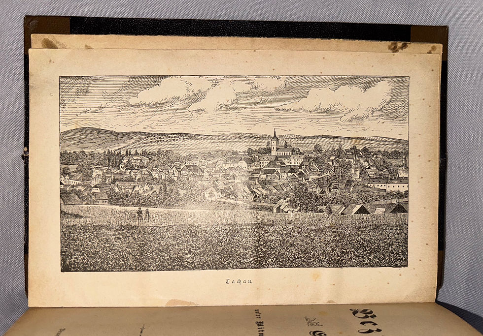Miniaturbild: Köferl: Der politische Bezirk Tachau 1890