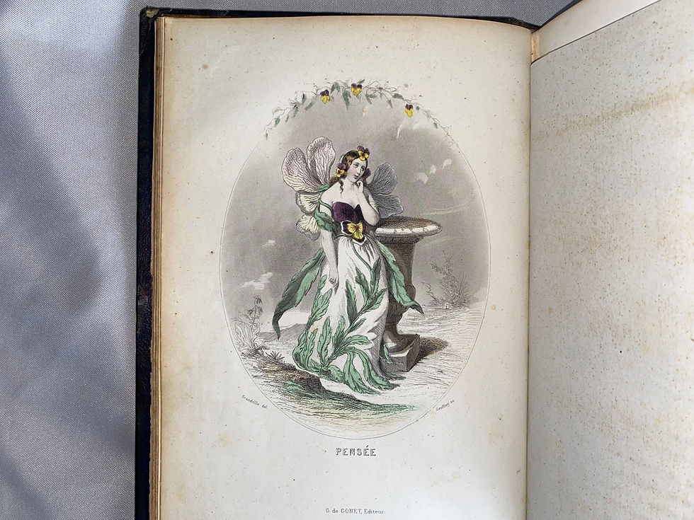 Miniaturbild: Grandville: Les fleurs animées 1847