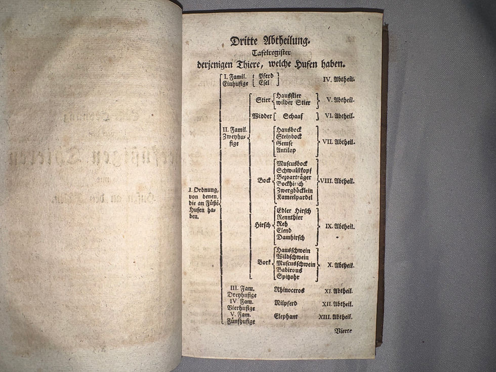 Miniaturbild: Klein & Behn: Geschichte der vierfüßigen Thiere 1760