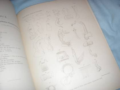 Miniaturbild: Graf von Attems: System der Polydesmiden I. Theil 1897