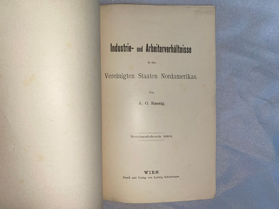 Miniaturbild: Raunig: Industrie- & Arbeiter-Verhältnisse USA 1894