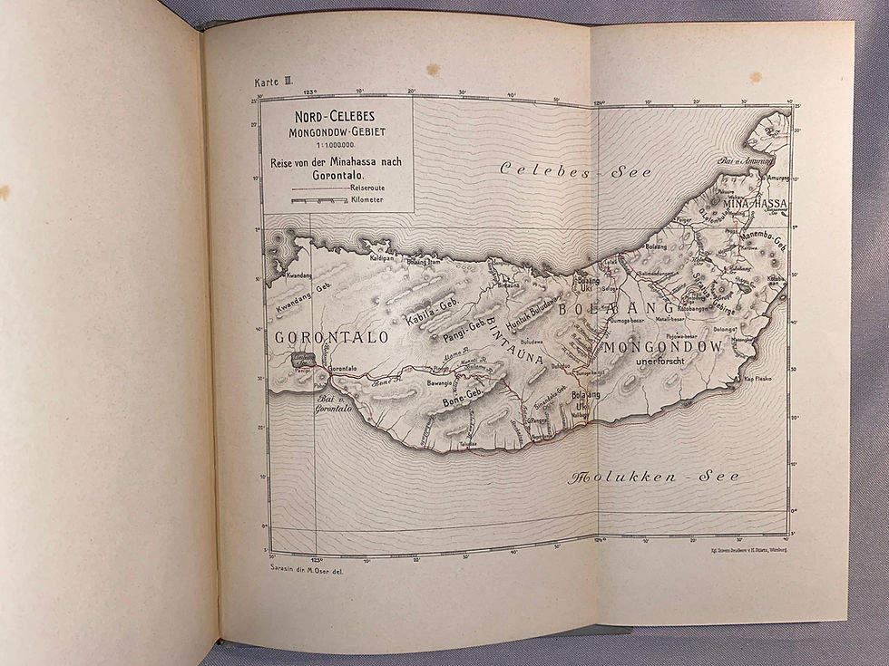 Miniaturbild: Sarasin: Reisen in Celebes 1893-1903
