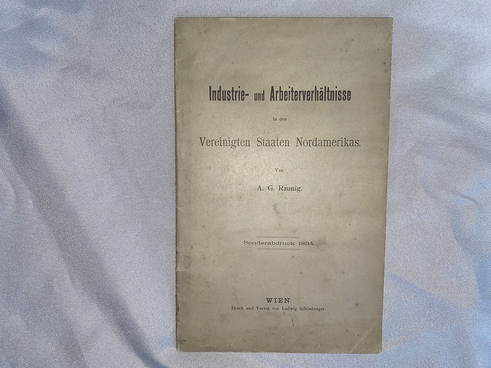 Miniaturbild: Raunig: Industrie- & Arbeiter-Verhältnisse USA 1894