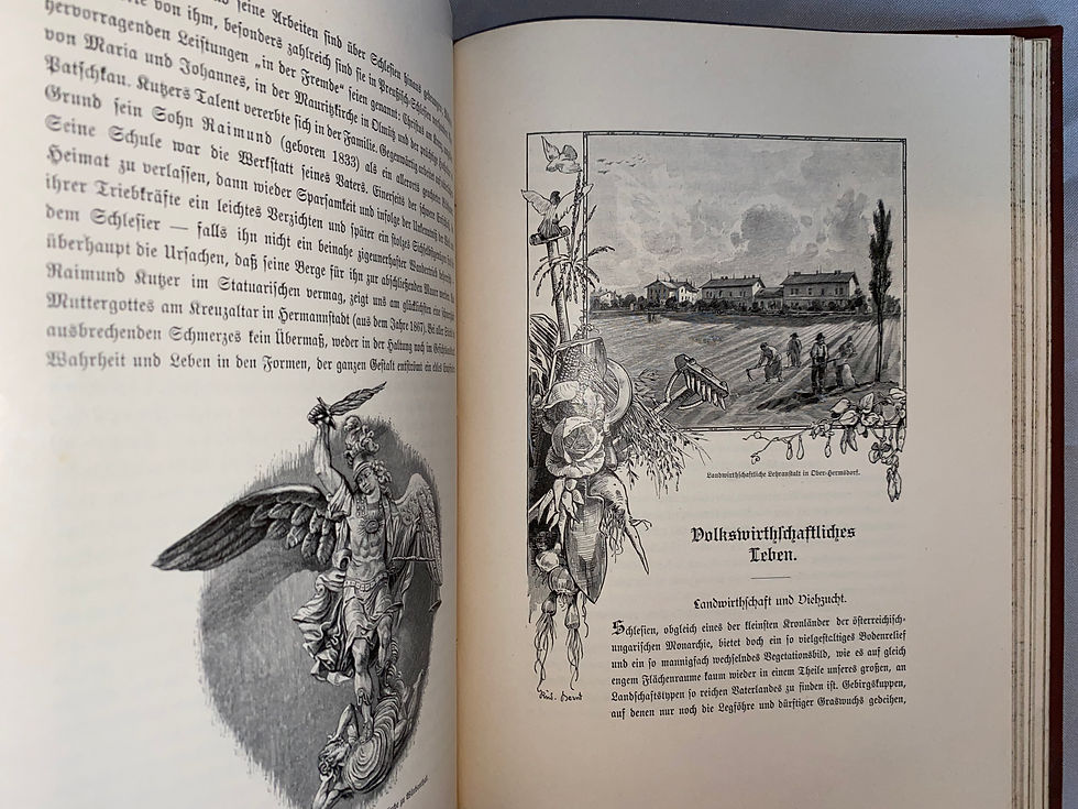 Miniaturbild: Kronprinz Rudolf Monarchie in Wort und Bild Mähren und Schlesien 1897