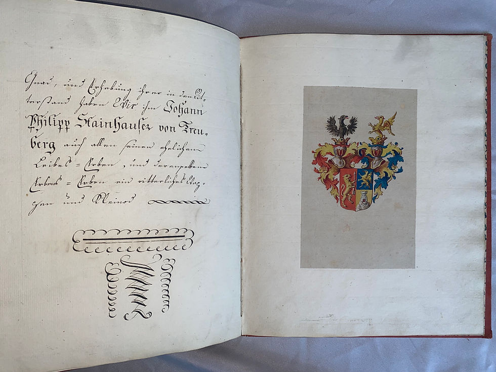Miniaturbild: Nobilitierung Urkunde Stainhauser von Treuberg 1777