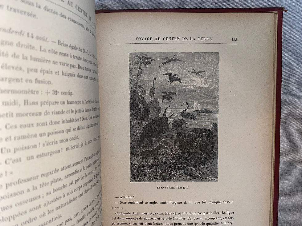Miniaturbild: Jules Verne: Voyage au centre de la terre 1883