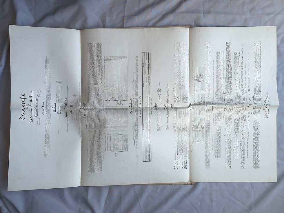 Miniaturbild: Lugani: Notizie statistiche Provincia di Valtellina 1842
